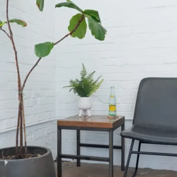 Arrangements & Greenery-Kirkland's Home Desktop Palm Plant In White Planter Green/White