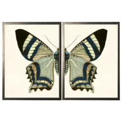 Framed Art-Kirkland's Home Diptych Butterfly Framed Art Print, Set Of 2 Blue/Gray
