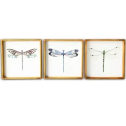 Framed Art-Kirkland's Home Dragonfly Framed Art Prints, Set Of 3 Green/Blue/Brown