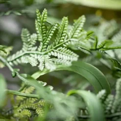 Wreaths-Kirkland's Home Draping Fern Wreath, 32 In. Green