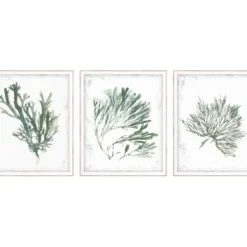 Framed Art-Kirkland's Home Emerald Coral I 3-Pc. Framed Art Print Set White/Green