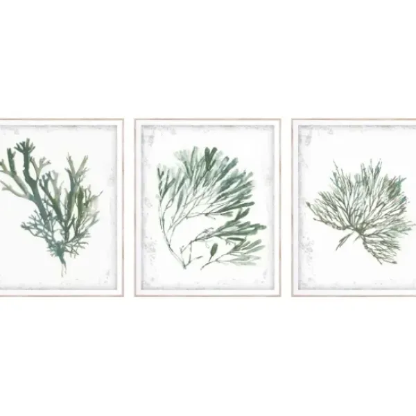 Framed Art-Kirkland's Home Emerald Coral I 3-Pc. Framed Art Print Set White/Green