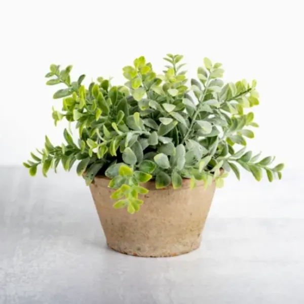 Arrangements & Greenery-Kirkland's Home Ery Arrangement In Terracotta Pot Green