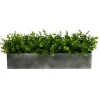 Arrangements & Greenery-Kirkland's Home Eucalyptus Arrangement In Gray Planter Box Green/Gray