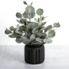 Arrangements & Greenery-Kirkland's Home Eucalyptus Arrangement In Black Planter Green/Black