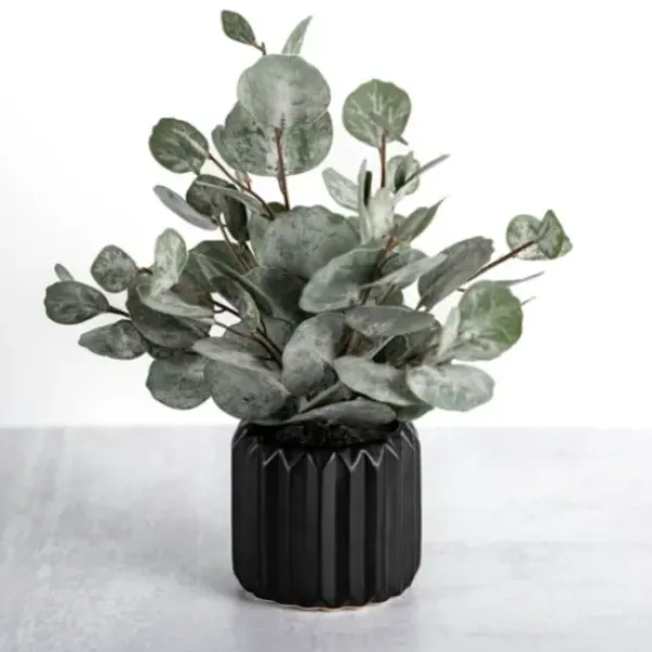 Arrangements & Greenery-Kirkland's Home Eucalyptus Arrangement In Black Planter Green/Black