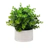 Arrangements & Greenery-Kirkland's Home Eucalyptus Arrangement In White Decorative Pot Green