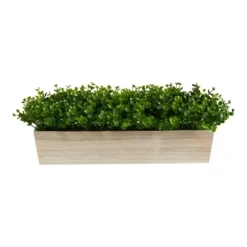 Arrangements & Greenery-Kirkland's Home Eucalyptus Arrangement In Wide Wooden Planter Green/Tan