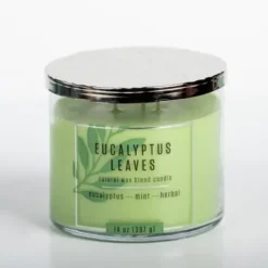 Candles-Kirkland's Home Eucalyptus Leaves Triple Wick Jar Candle Green