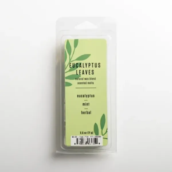 Home Fragrance-Kirkland's Home Eucalyptus Leaves Wax Melts