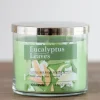 Candles-Kirkland's Home Eucalyptus Leaves 3-Wick Jar Candle Green