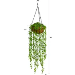 Arrangements & Greenery-Kirkland's Home Eucalyptus Vines Hanging Basket Green