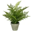 Arrangements & Greenery-Kirkland's Home Fern Arrangement In Paper Pot Green