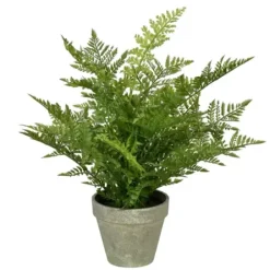 Arrangements & Greenery-Kirkland's Home Fern Arrangement In Paper Pot Green