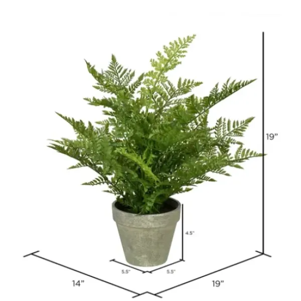 Arrangements & Greenery-Kirkland's Home Fern Arrangement In Paper Pot Green