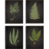 Framed Art-Kirkland's Home Fern Framed Art Prints, Set Of 4 Black/Green