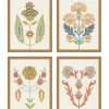 Framed Art-Kirkland's Home Flourish Framed Art Prints, Set Of 4 Multi