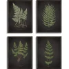 Framed Art-Kirkland's Home Four Ferns Framed Art Prints, Set Of 4 Black/Green