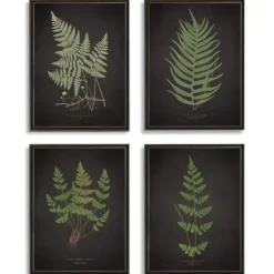 Framed Art-Kirkland's Home Four Ferns Framed Art Prints, Set Of 4 Black/Green