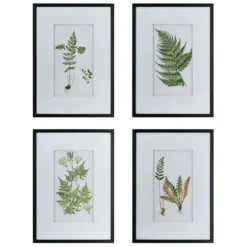 Framed Art-Kirkland's Home Framed Fern Art Prints, Set Of 4 White/Green