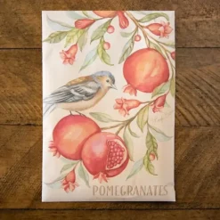 Sachets-Kirkland's Home Fresh Pomegranates Sachet