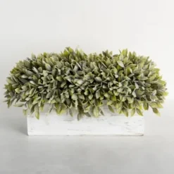 Arrangements & Greenery-Kirkland's Home Frosted Sage Arrangement In Wooden Box Green