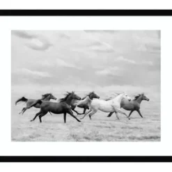 Framed Art-Kirkland's Home Galloping Wild Horses Framed Wall Art Black/White