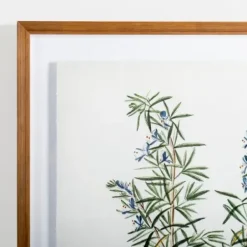Framed Art-Kirkland's Home Golden Leaves Herbs Rosemary Framed Art Print White/Green