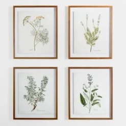 Framed Art-Kirkland's Home Golden Leaves Herbs Sage Framed Art Print White/Green