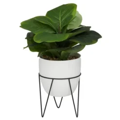 Trees & Topiaries-Kirkland's Home Gourd Plant In Hairpin Leg Planter