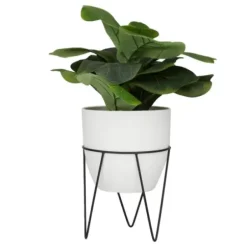 Trees & Topiaries-Kirkland's Home Gourd Plant In Hairpin Leg Planter