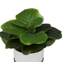 Trees & Topiaries-Kirkland's Home Gourd Plant In Hairpin Leg Planter