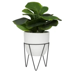 Trees & Topiaries-Kirkland's Home Gourd Plant In Hairpin Leg Planter