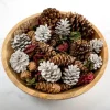 Home Fragrance-Kirkland's Home Grand Pine Cone Potpourri