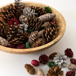 Home Fragrance-Kirkland's Home Grand Pine Cone Potpourri
