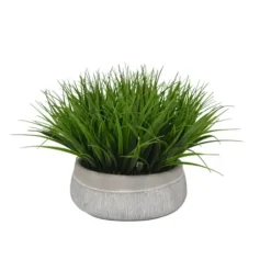 Arrangements & Greenery-Kirkland's Home Grass Arrangement In Gray Ceramic Bowl Green/Gray