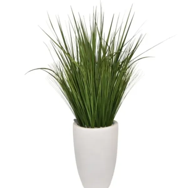 Arrangements & Greenery-Kirkland's Home Grass Arrangement In White Cement Pot Green/White