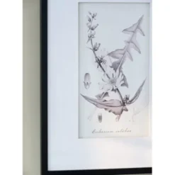 Framed Art-Kirkland's Home Gray And Cream Foliage 4-Pc. Framed Wall Art Set Gray/White