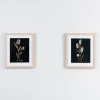 Framed Art-Kirkland's Home Green Botanicals Framed Art Prints, Set Of 2 Black/Green/White