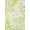 Sachets-Kirkland's Home Green Eucalyptus Mint Sachet