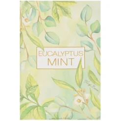 Sachets-Kirkland's Home Green Eucalyptus Mint Sachet