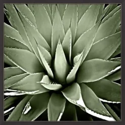 Framed Art-Kirkland's Home Green Succulent Iii Framed Canvas Art Green/White/Black