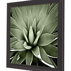 Framed Art-Kirkland's Home Green Succulent Iii Framed Canvas Art Green/White/Black