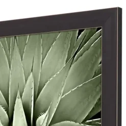 Framed Art-Kirkland's Home Green Succulent Iii Framed Canvas Art Green/White/Black