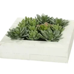 Arrangements & Greenery-Kirkland's Home Green Succulents In White Rustic Planter Green/White