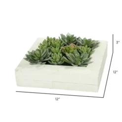 Arrangements & Greenery-Kirkland's Home Green Succulents In White Rustic Planter Green/White