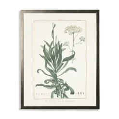 Framed Art-Kirkland's Home Greenery Botanical Ii Pewter Framed Art Print Ivory
