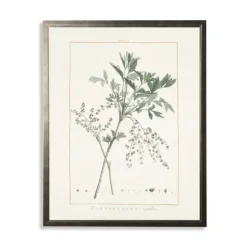 Framed Art-Kirkland's Home Greenery Botanical Iv Pewter Framed Art Print Ivory