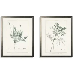Framed Art-Kirkland's Home Greenery Botanicals I Framed Art Prints, Set Of 2 Ivory/Green