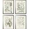Framed Art-Kirkland's Home Greenery On Cream Back Framed Art Prints, Set Of 4 Green/Ivory